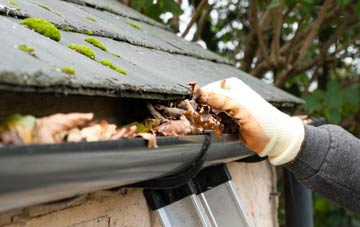 gutter cleaning Low Westwood, County Durham