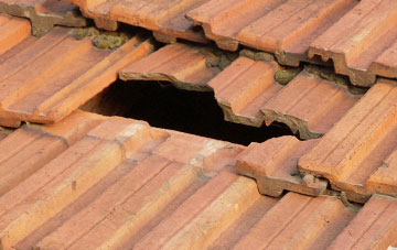 roof repair Low Westwood, County Durham